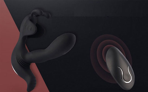 Understanding the Mechanics of a Thrusting Dick